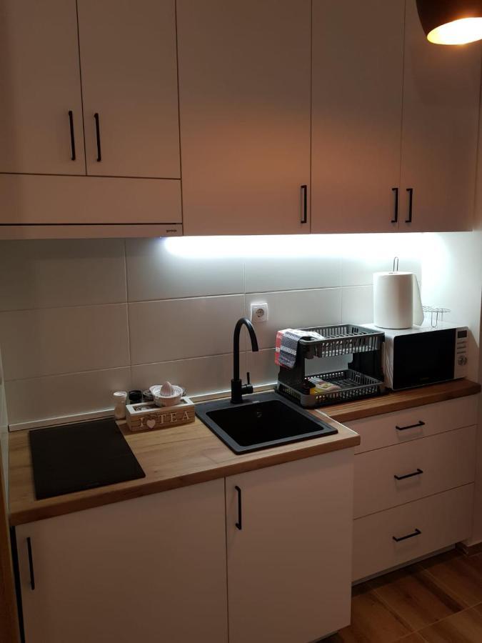Wood Apartmani - Vila Zimska Idila ヤホリナ エクステリア 写真